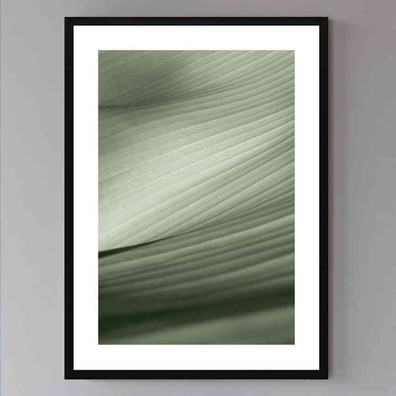 تابلو مدل Banana leaf کد 2489011032 - Image 2