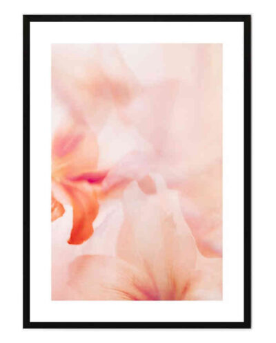 تابلو مدل Coral lily 2 کد 248901658