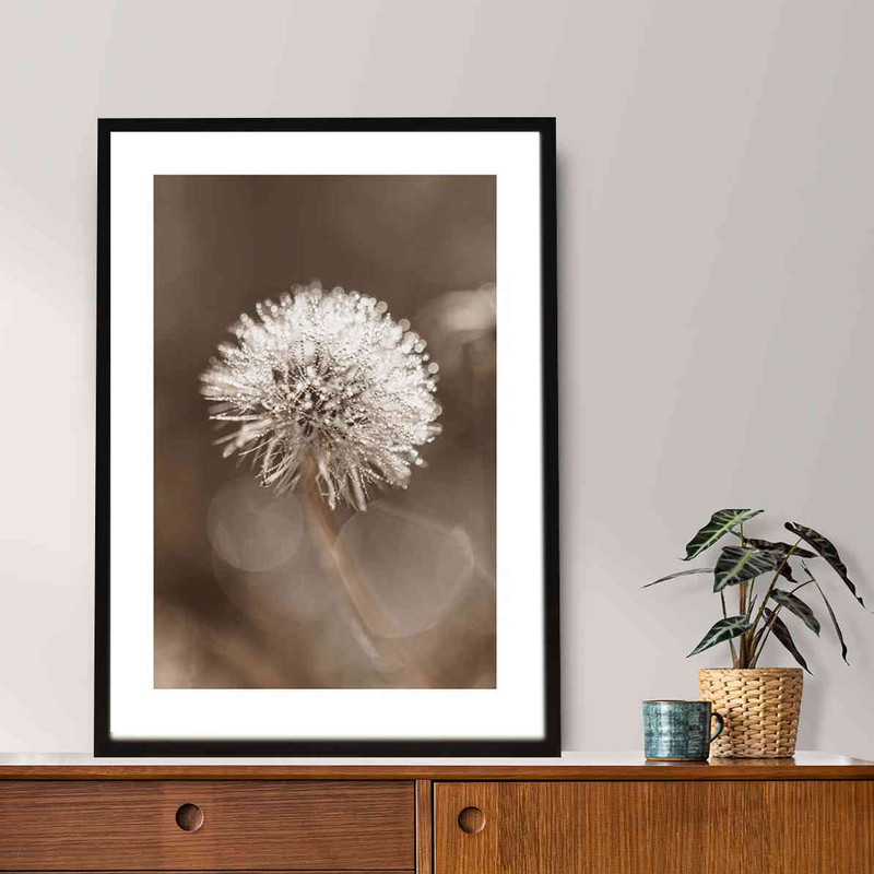 تابلو مدل Dandelion flower کد 248901603 - Image 3