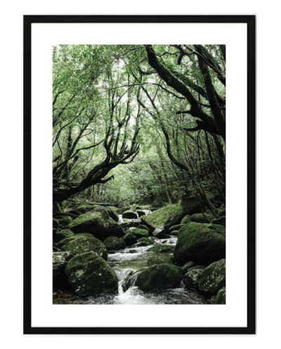 تابلو مدل Mystical forest کد 248901897