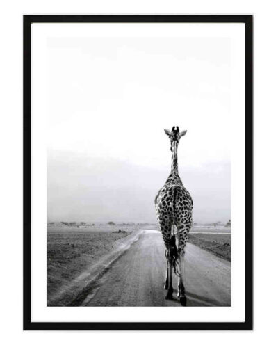 تابلو مدل Giraffe on the road کد 248901773