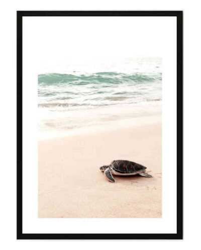 تابلو مدل Sunrise turtle کد 248901952