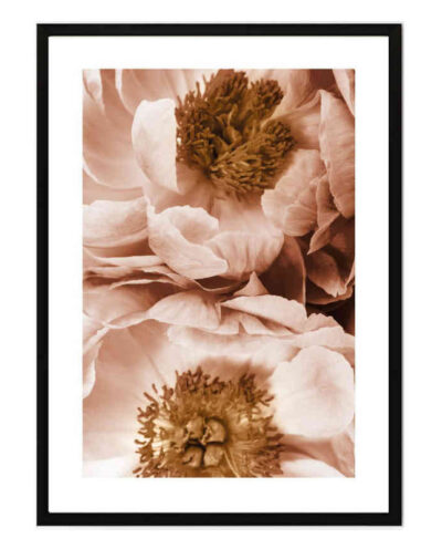 تابلو مدل Earth peony کد 2489011009