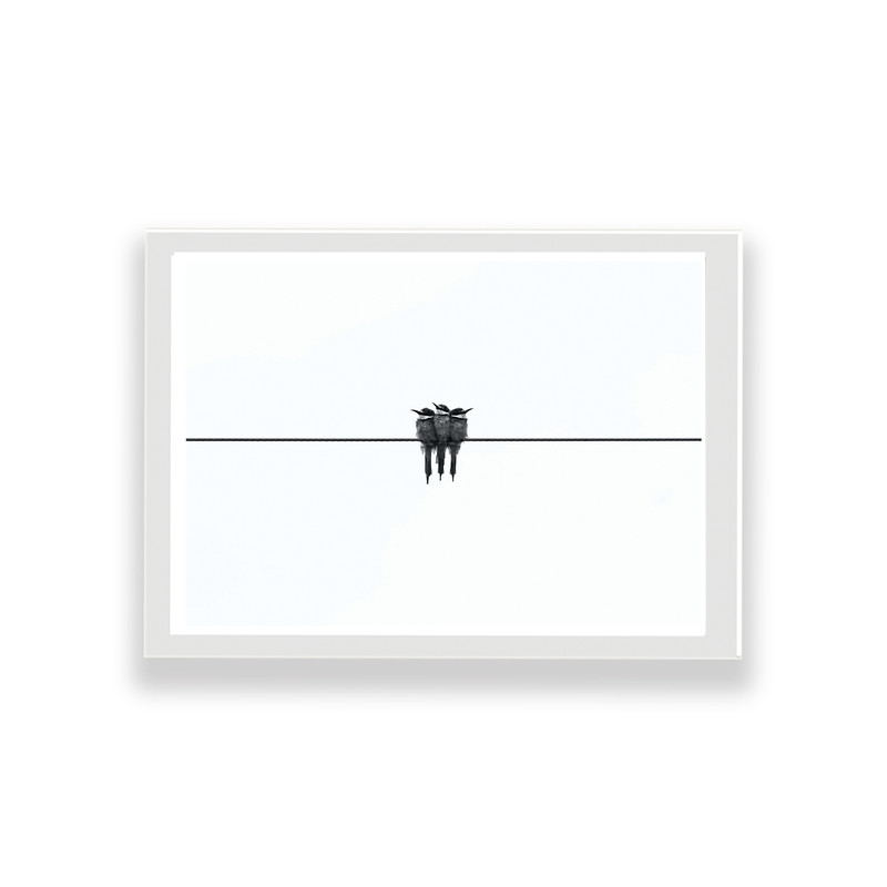 تابلو طرح مینیمال پرندهمدل 1 - Image 2