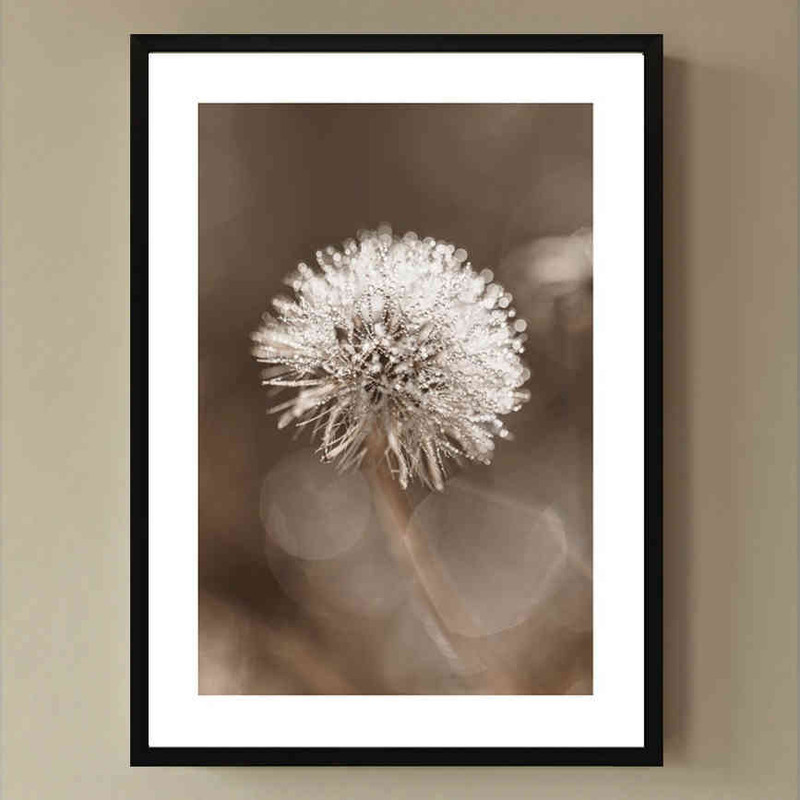 تابلو مدل Dandelion flower کد 248901603 - Image 2