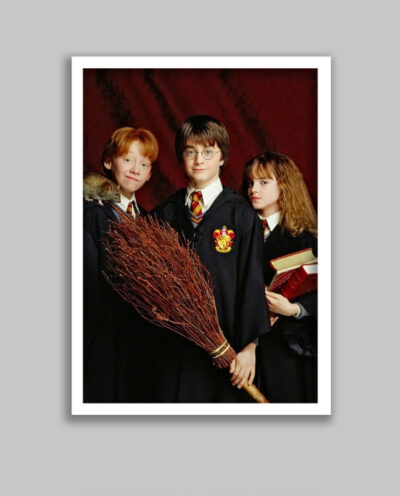 تابلو مدل هری پاتر Harry Potter کد LA-G10594