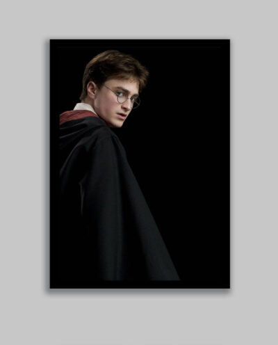 تابلو مدل هری پاتر Harry Potter کد LA-G10593-2