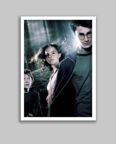 تابلو مدل هری پاتر Harry Potter کد LA-G10589