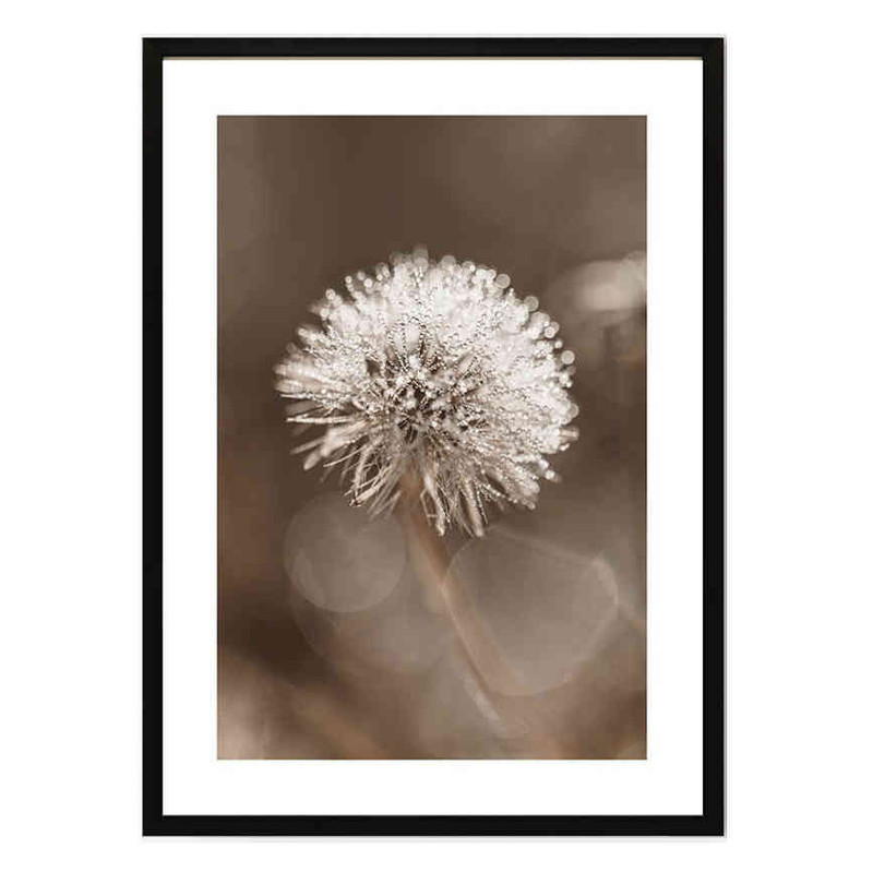 تابلو مدل Dandelion flower کد 248901603