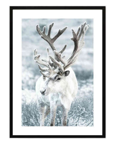 تابلو مدل Snowy wildlife کد 248901506