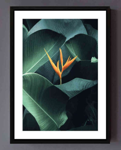 تابلو مدل Tropical plant کد 248901373
