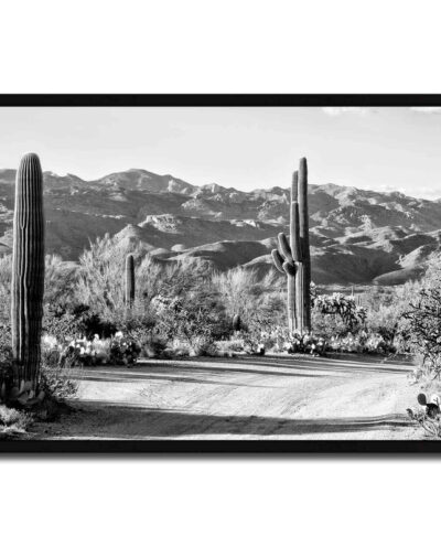 تابلو مدل Cactus on the way کد 248901288