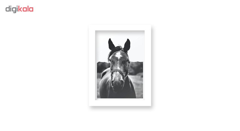 تابلو هیلما گالری کد HAP1746 WHITE - Image 2