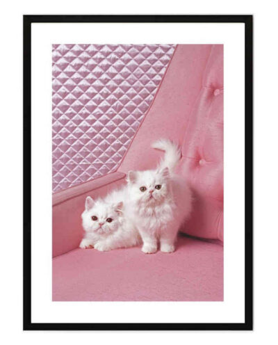 تابلو مدل Cats کد 2489011010