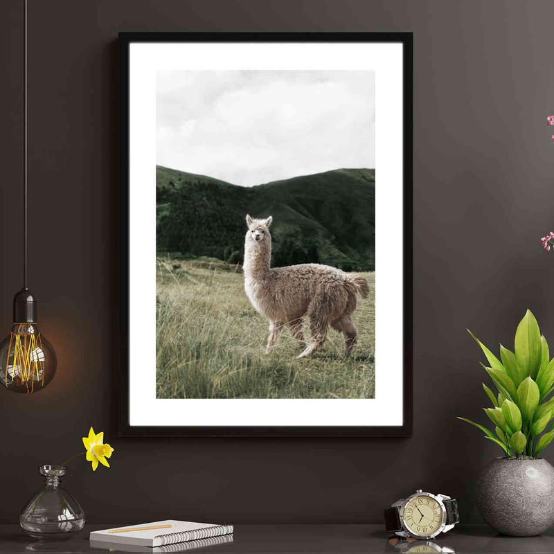تابلو مدل Alpaca کد 248901880 - Image 2