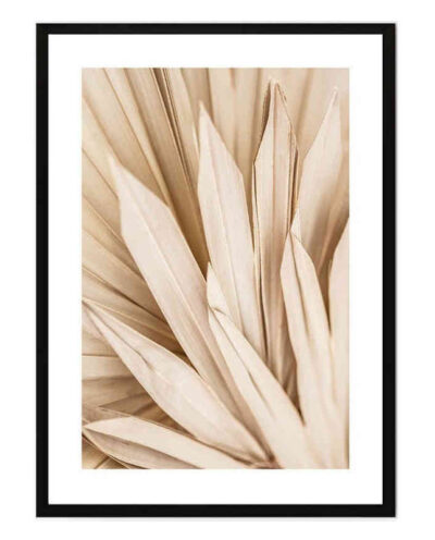تابلو مدل Dried palm leaves کد 248901643