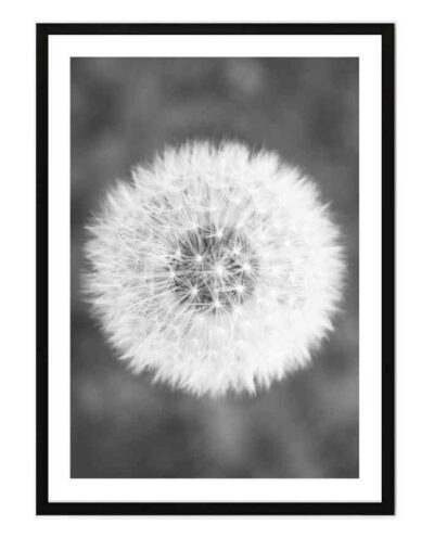 تابلو مدل Dandelion 2 کد 2489011112