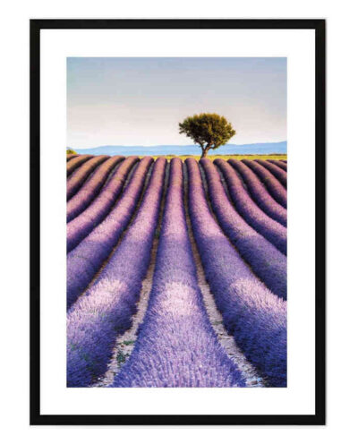 تابلو مدل Lavender کد 248901969
