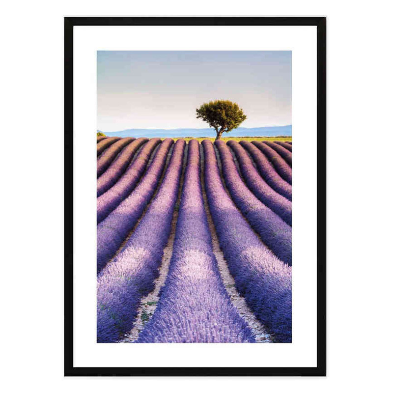 تابلو مدل Lavender کد 248901969
