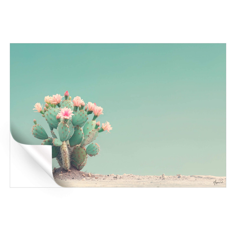 تابلو مدل Cactus flowers کد 248901242 - Image 2