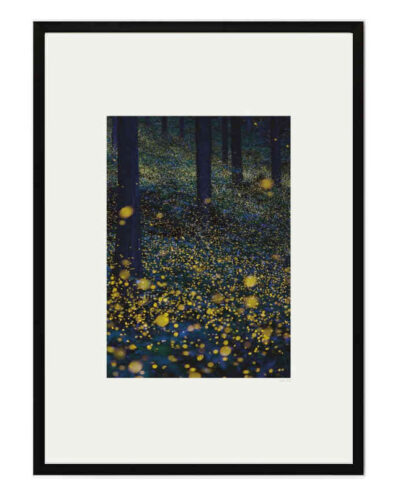 تابلو مدل Fireflies کد 2489011115
