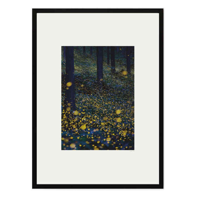 تابلو مدل Fireflies کد 2489011115