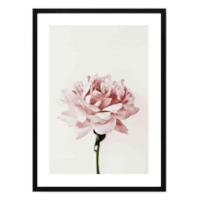 تابلو مدل Pink peony کد 2489011070