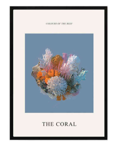 تابلو مدل The coral کد 248901925