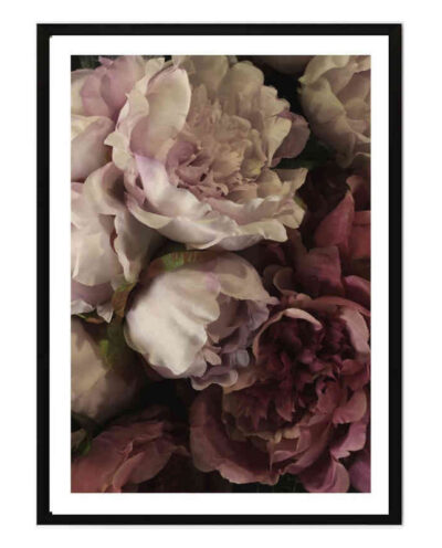 تابلو مدل Peony closeup کد 248901915