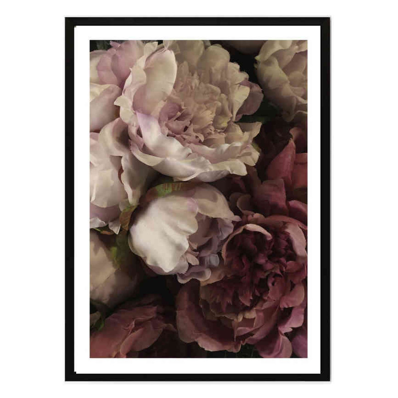 تابلو مدل Peony closeup کد 248901915