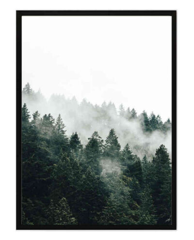 تابلو مدل Tree tops کد 248901810