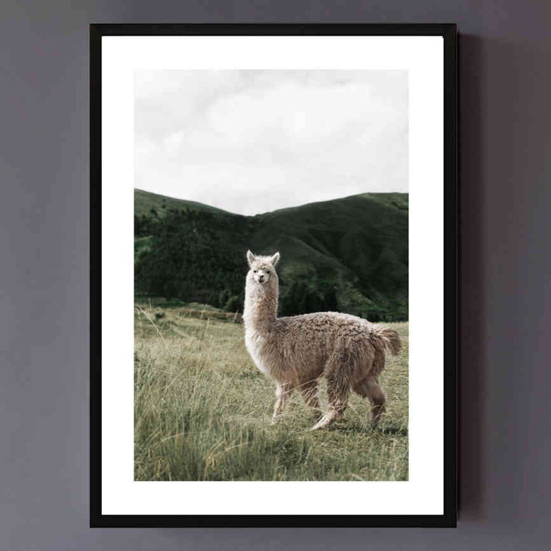تابلو مدل Alpaca کد 248901880 - Image 3