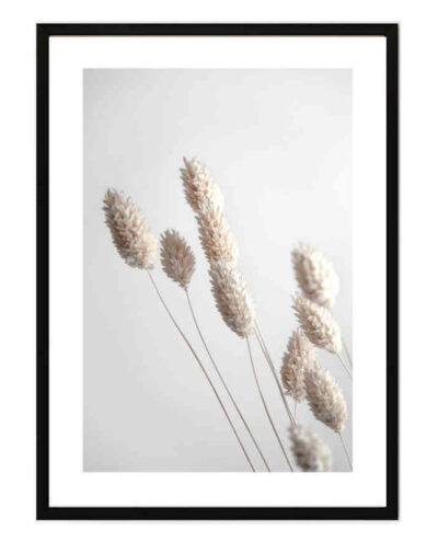 تابلو مدل Dried grass کد 2489011042