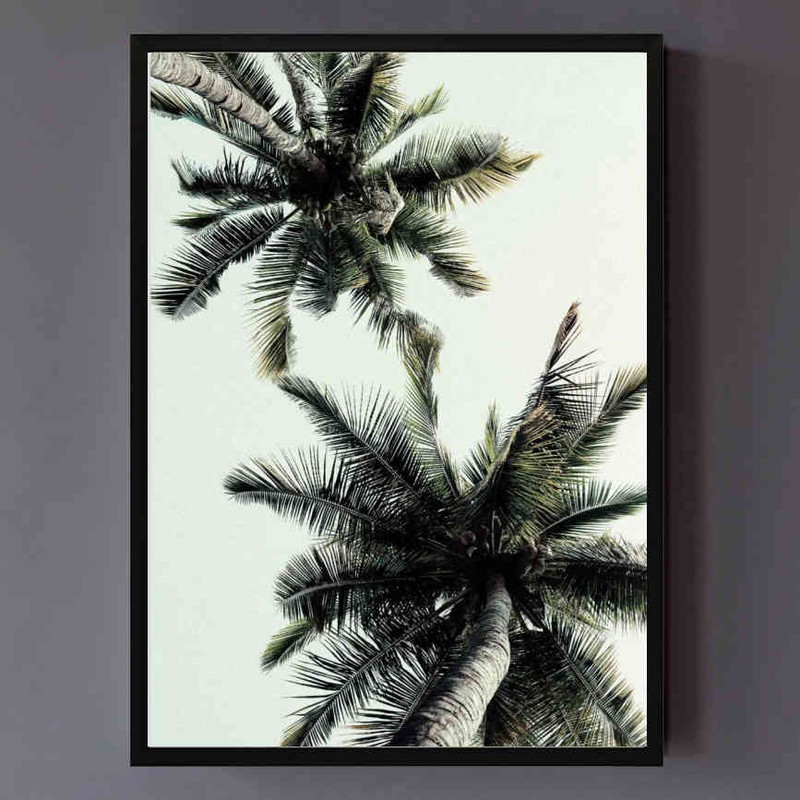 تابلو مدل Coconut palm tree کد 248901920 - Image 2