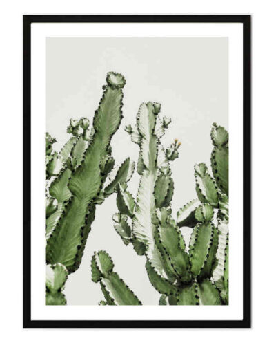 تابلو مدل Green cacti کد 2489011110