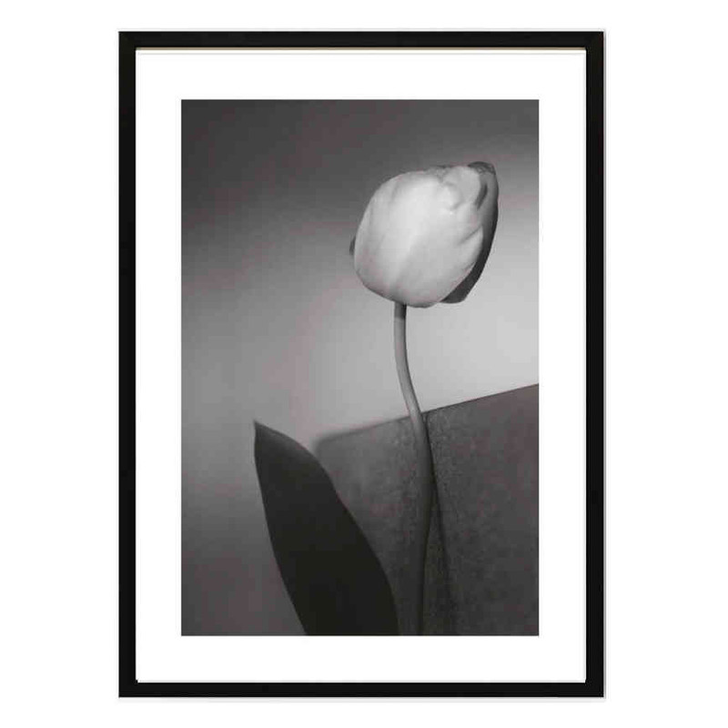 تابلو مدل Spring tulip کد 2489011141