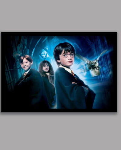 تابلو مدل هری پاتر Harry Potter کد LA-G10608-2