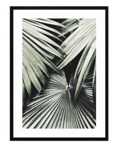 تابلو مدل Dark palm leaves کد 248901956