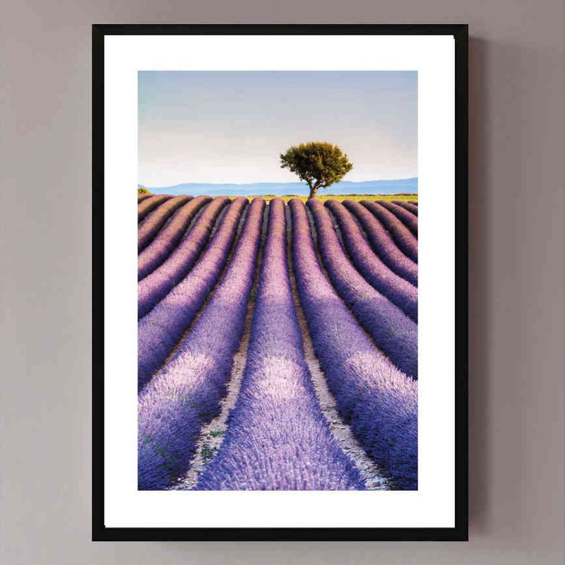 تابلو مدل Lavender کد 248901969 - Image 2