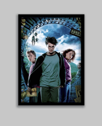 تابلو مدل هری پاتر Harry Potter کد LA-G10605-2