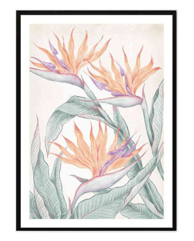 تابلو مدل Birds of paradise کد 248901630