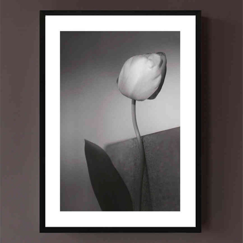 تابلو مدل Spring tulip کد 2489011141 - Image 4
