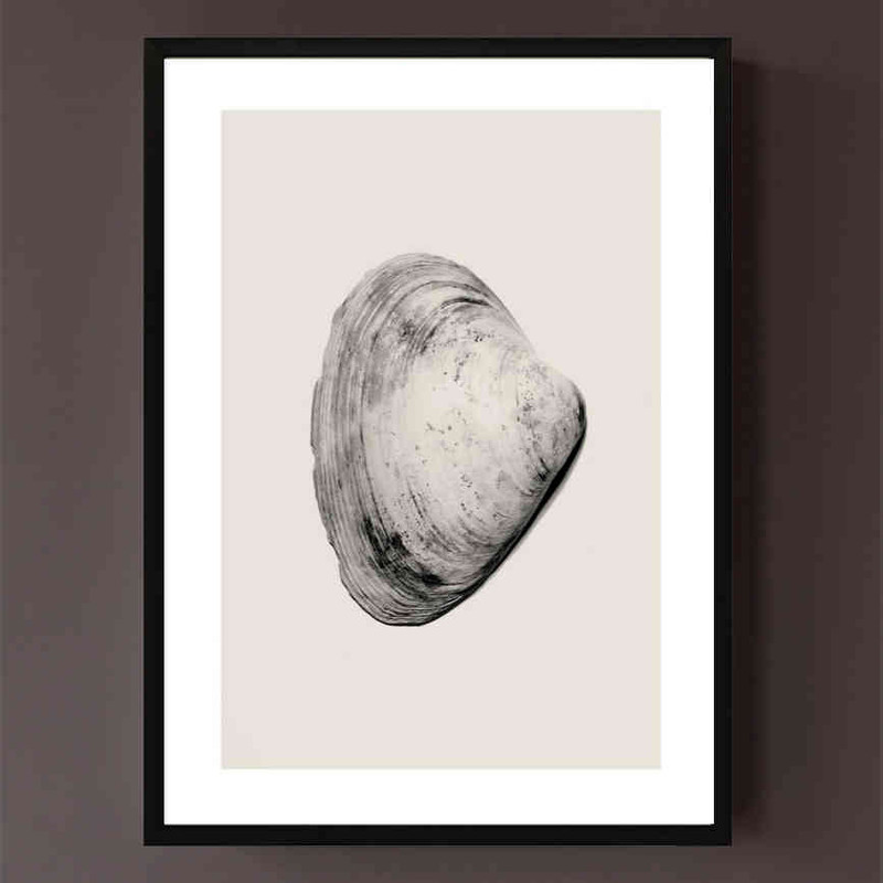 تابلو مدل Beige shell کد 248901951 - Image 2
