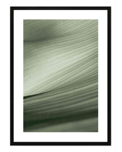 تابلو مدل Banana leaf کد 2489011032
