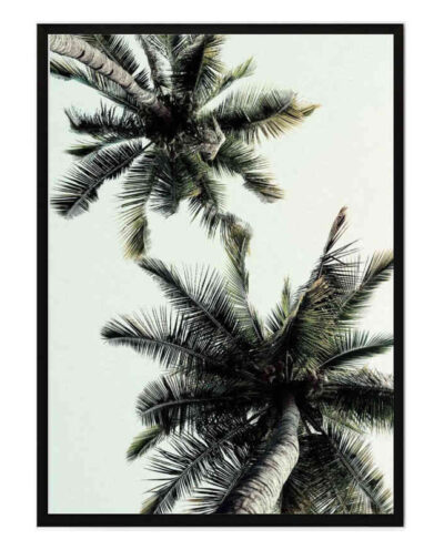 تابلو مدل Coconut palm tree کد 248901920