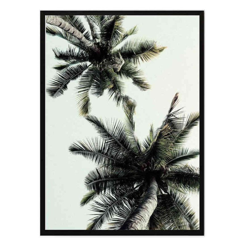 تابلو مدل Coconut palm tree کد 248901920