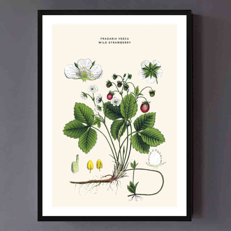 تابلو مدل Wild strawberry کد 2489011045 - Image 3
