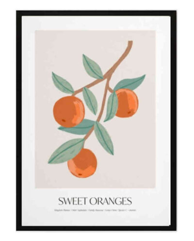 تابلو مدل Orange fruit کد 248901718