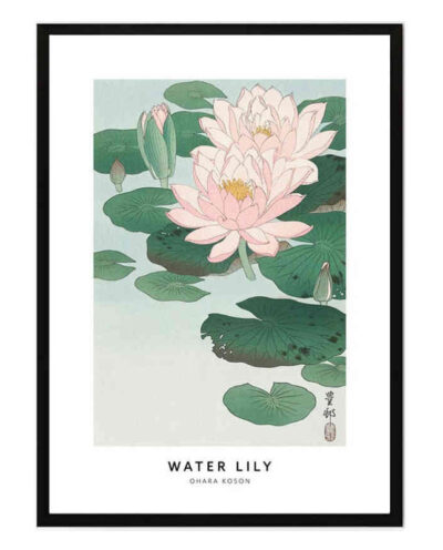 تابلو مدل Water lily کد 248901549
