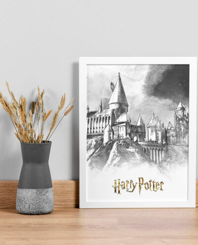 تابلو صبا طرح مدل Harry Potter کد LA-G10598-2w